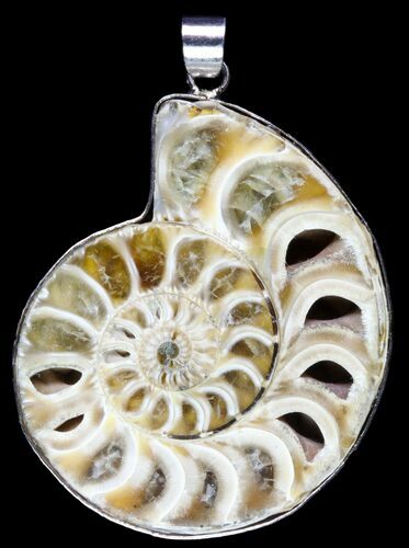 Fossil Ammonite Pendant - Million Years Old #89883